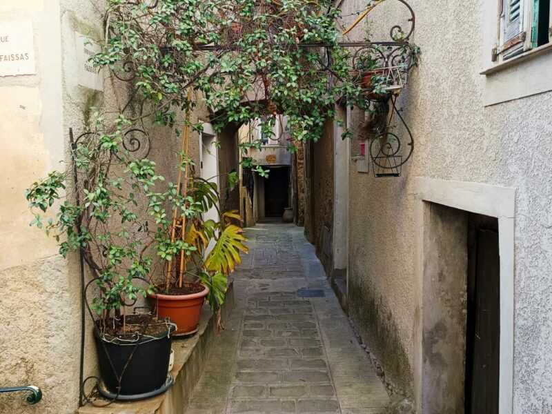 Arche fleurie Berre-les-Alpes