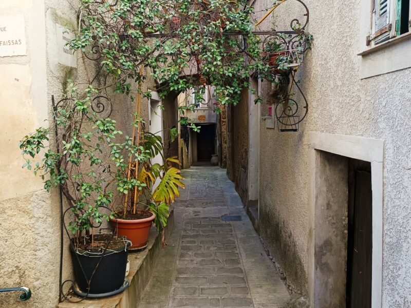 Arche fleurie Berre-les-Alpes