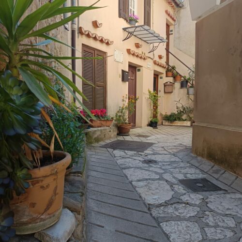 Ruelle plantes Berre-les-Alpes