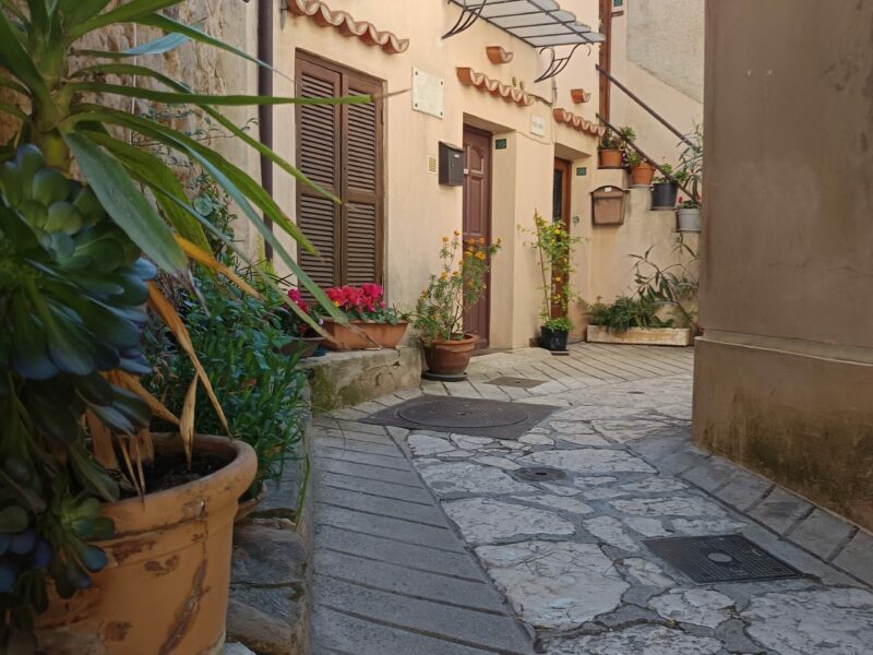 Ruelle plantes Berre-les-Alpes